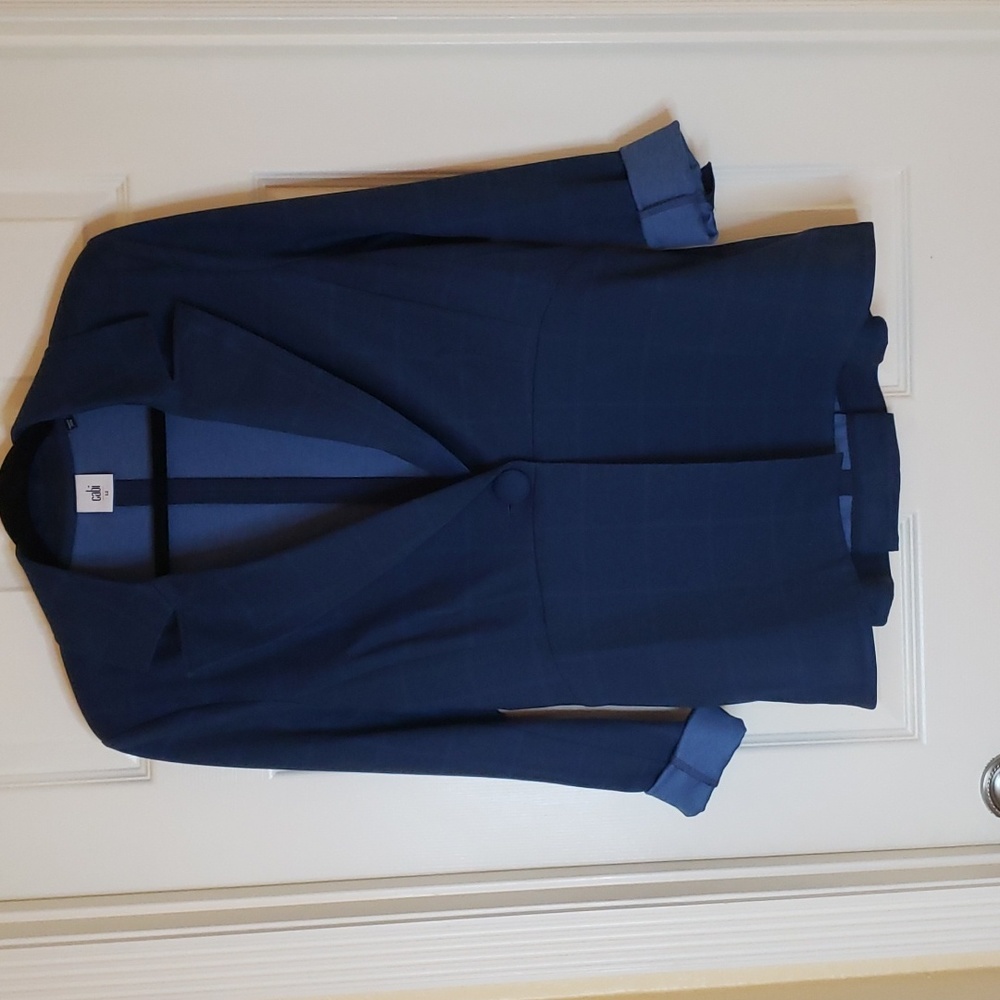 CAbi Blue Check Blazer Size 12